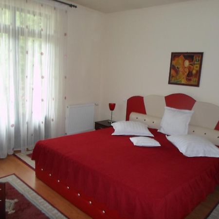 Hotel Pensiunea Speranta Sovata Exteriér fotografie