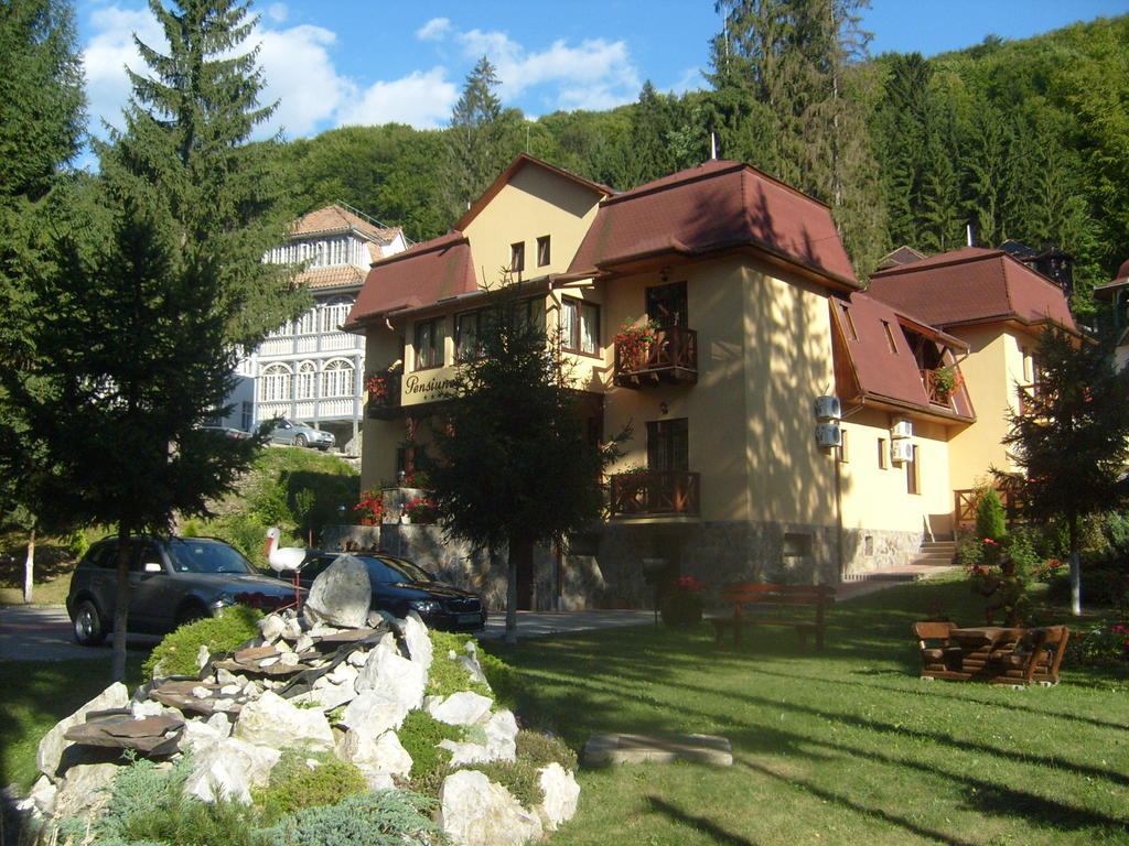 Hotel Pensiunea Speranta Sovata Exteriér fotografie